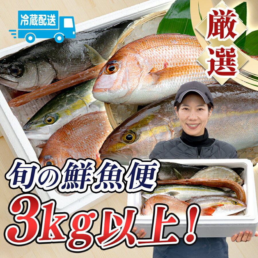 鮮魚 3kg〜 鮮魚ボックス 詰め合わせ 刺身 刺し身 さしみ 海鮮丼 寿司 鮮度抜群 産地直送 海の幸 海鮮 魚介 新鮮 厳選 ギフト お取り寄せ おすすめ 人気 お中元 お歳暮 高知県産