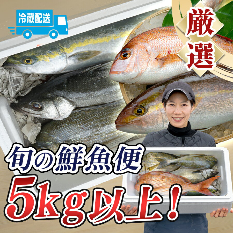 乐天商城 - 【ふるさと納税】鮮魚 5kg～ 鮮魚ボックス 詰め合わせ 刺身 刺し身 さしみ 海鮮丼 寿司 鮮度抜群 産地直送 海の幸 海鮮 魚介 新鮮 厳選 ギフト お取り寄せ おすすめ 人気 お中元 お歳暮 高知県産