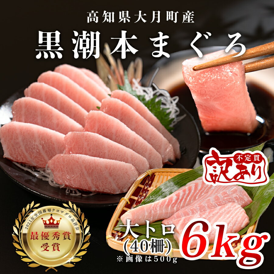 【ふるさと納税】【訳アリ】養殖本マグロ 大トロ 6kg 黒潮本まぐろ【レビューキャンペーン実施中】|大容量 不定貫 不揃い 刺身用 業務用 養殖まぐろ 最優秀賞...