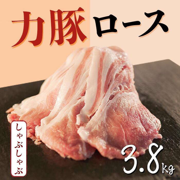 【ふるさと納税】大月町産ブランド豚！力豚ロース　しゃぶしゃぶ3.8kg