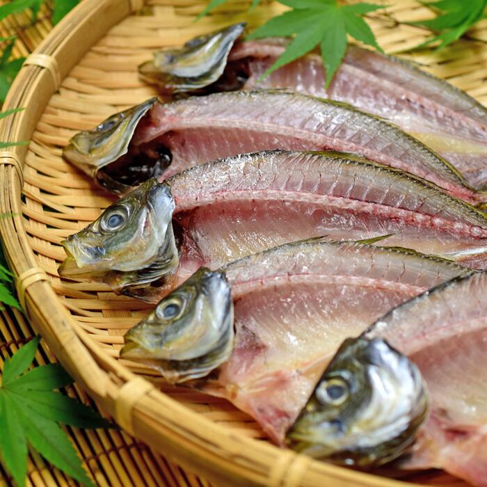 土佐大月海産 高級アジの干物 恋あじ 最大58 Offクーポン 1kg