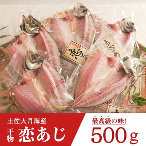 【ふるさと納税】土佐大月海産　高級アジの干物 恋あじ 500g