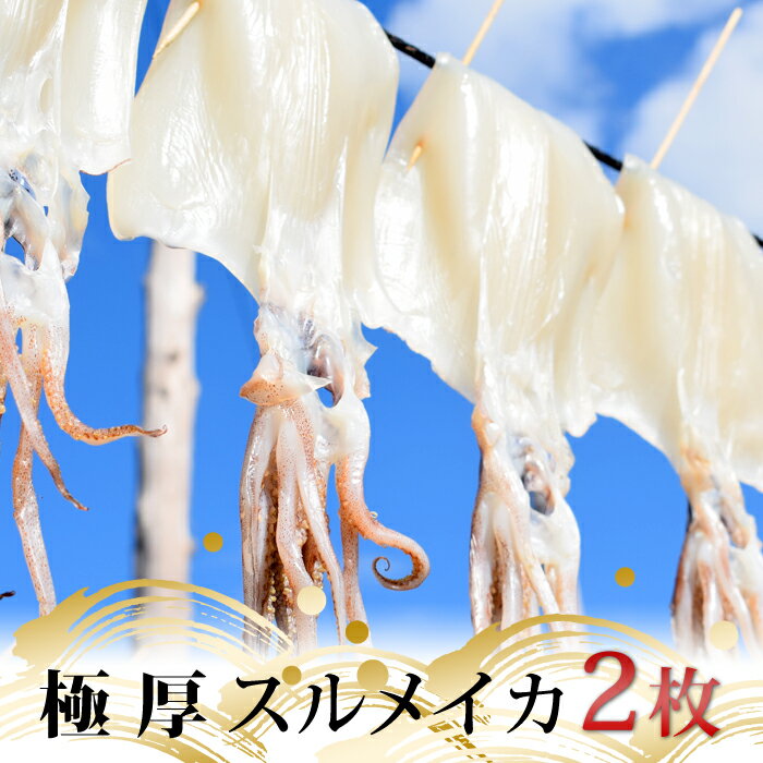 28位! 口コミ数「0件」評価「0」極厚スルメイカの一日干し 2枚