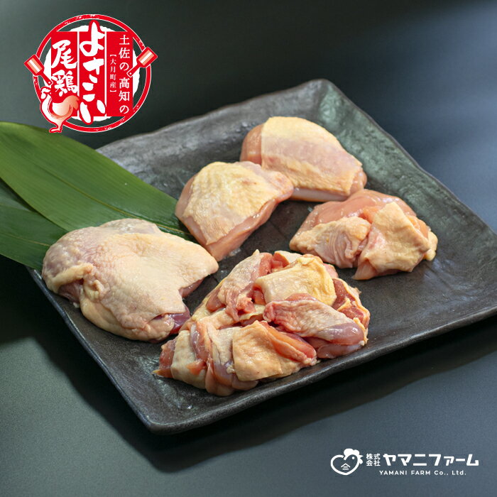 【大月町のブランド鶏】よさこい尾鶏 もも・むね肉・骨付きもも