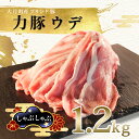 【ふるさと納税】【高知県 大月町産ブランド豚】力豚　ウデ肉1