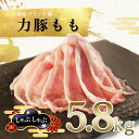 【ふるさと納税】【高知県 大月町産ブランド豚】力豚もも　しゃぶしゃぶ5.8kg