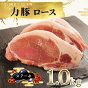 【ふるさと納税】国産 豚肉 ロース ステーキ用1kg (500g×2P)|力豚 小分け 使いやすい ブランド豚 脂 真空パック 冷凍 ポーク ご褒美 ギフト 贈...