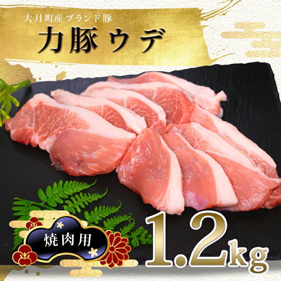 [高知県 大月町産ブランド豚]力豚ウデ焼き肉用1.2kg