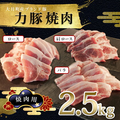 【高知県 大月町産ブランド豚】力豚焼き肉2.5kgセット