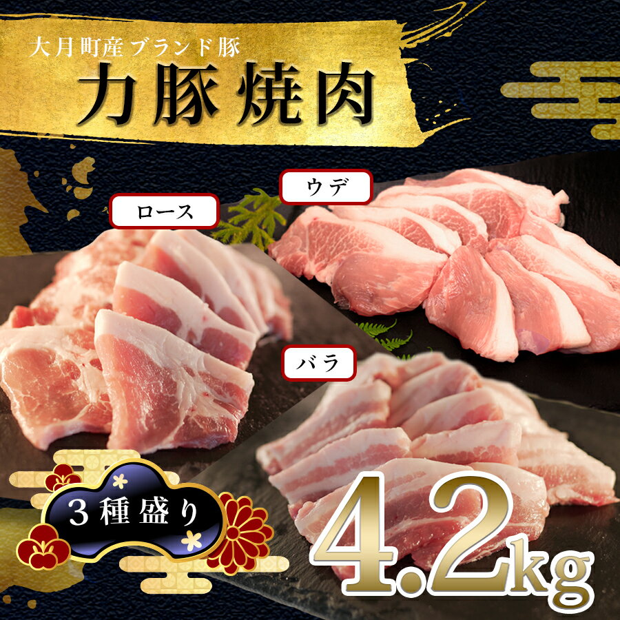 【ふるさと納税】【高知県 大月町産ブランド豚】力豚焼き肉 3種盛り4.2kg