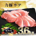 【ふるさと納税】【高知県 大月町産ブランド豚】力豚ウデ肉 焼肉用3.6kg