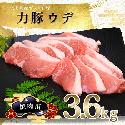 楽天ふるさと納税　【ふるさと納税】【高知県 大月町産ブランド豚】力豚ウデ肉　焼肉用3.6kg