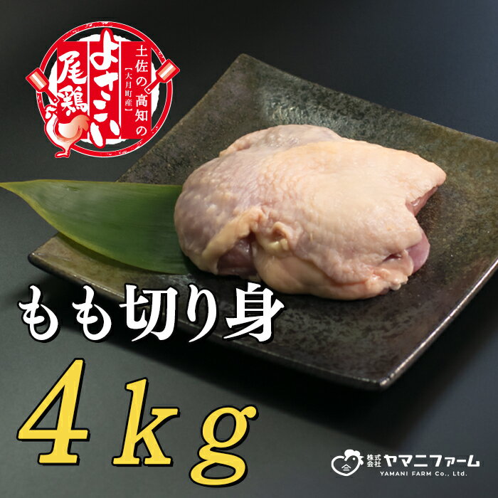 47位! 口コミ数「0件」評価「0」【大月町のブランド鶏】よさこい尾鶏 もも肉（200g）×20パック