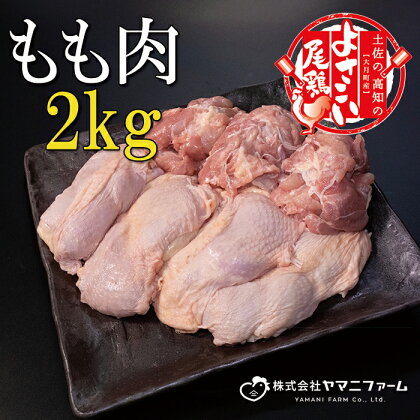 【大月町のブランド鶏】よさこい尾鶏 もも肉2kg