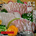 【ふるさと納税】【高知県 大月町産】 黒潮の海で育った真鯛のフィーレ