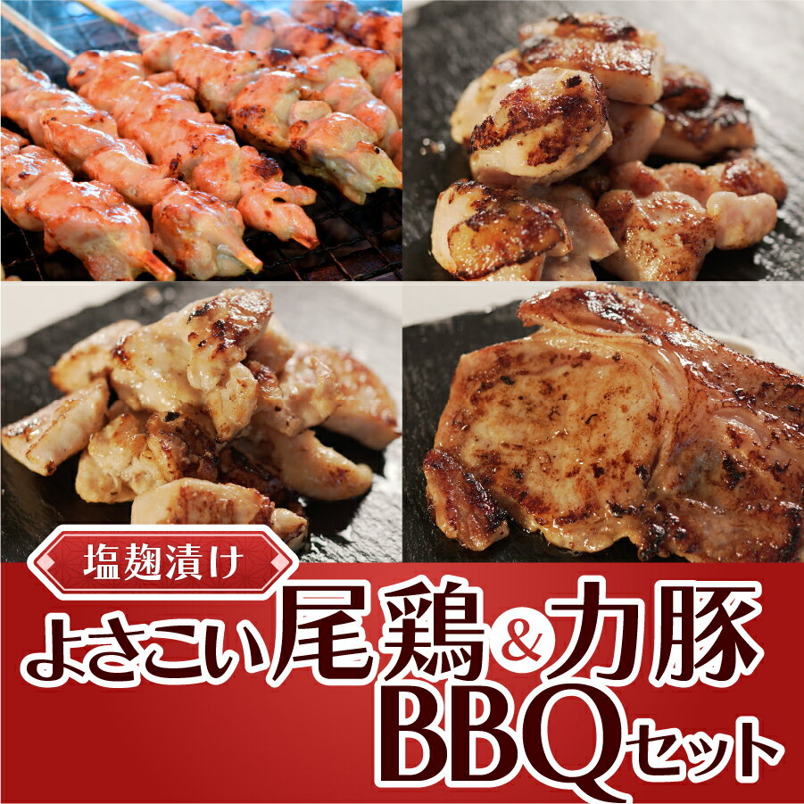 塩麹につけたよさこい尾鶏と力豚のBBQセット