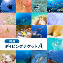 【名称】大月町共通ダイビングチケットA 【内容】共通ダイビングチケット（12,000円分） ＊宿毛湾ダイビング大月地区部会に所属しているショップからお選びください。 ＊ダイビング用の器材一式はレンタルできますが水着・バスタオル・ビーチサンダル、日焼け止めなどはご用意頂きますようお願い致します。 ＊ファンダイビング・体験ダイビング・レンタル等に使用可能ですが、12,000円を超過した額は別途お支払いをお願いいたします。 【有効期限】発行日より2年以内 ＊払い戻しや現金とのお引き換えはできません。 ＊ダイビングチケットの再発行はいたしません。 【実施期間】通年提供可能（要予約） ＊天候・海況によって実施できない場合があります。 ＊天候等による中止のご連絡は前日までに行い、その場合は日程変更等対応させていただきます。 【提供事業者】宿毛湾ダイビング大月地区部会 【ご予約について】 ＊チケットのご使用にあたっては、寄付者様からダイビングショップへご予約が必要です。 ＊ご予約はダイビングチケットの案内をご確認の上、ご希望日時と『ふるさと納税』での予約とお伝えください。 ＊申込時にはフルネーム・身長・体重・足のサイズ・当日の交通手段・携帯電話番号が必要です。 【注意事項/その他】 ＊ダイビングチケットは必ずお持ちください(ご持参なしの場合、事由にかかわらずサービスの提供ができません)。 ＊お申し込み後、やむを得ない事情によりキャンセルされる場合は日程変更等対応させていただきますので2日前までにご連絡ください。 ＊ダイビング券は転売禁止です。 ＊10歳以上の方が参加できます。60歳以上の方は医師の診断書が必要になる場合がございます。 ＊時期によっては、 満員・その他理由によりお受けできない場合がございます。ご予約の際にご確認ください。また、有効期限がございますので、お早めにご予約をお願いいたします。 ・ふるさと納税よくある質問はこちら ・寄付申込みのキャンセル、返礼品の変更・返品はできません。あらかじめご了承ください。「ふるさと納税」寄付金は、下記の事業を推進する資金として活用してまいります。 寄付を希望される皆さまの想いでお選びください。 (1) 皆さんの熱い思いで大月をつくる事業 (2) ふるさとへの思いに応える事業 (3) 働く人を支えるまちの発展事業 (4) 心やすらぐ自然や風景を守る事業 (5) その他、町長が必要と認める事業 特段のご希望がなければ、町政全般に活用いたします。 入金確認後、注文内容確認画面の【注文者情報】に記載の住所にお送りいたします。 発送の時期は、寄付確認後2日以内を目途に、お礼の特産品とは別にお送りいたします。