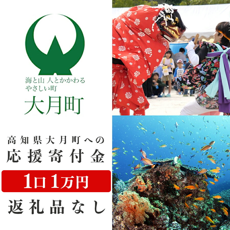 3位! 口コミ数「0件」評価「0」高知県大月町への応援寄付金1万円　【返礼品なし】