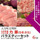 【ふるさと納税】【定期便】高知県大月町産ブランド豚　力豚バラエティーセット 計6回