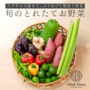 25位! 口コミ数「0件」評価「0」【高知県大月町産】旬のとれたてお野菜セット