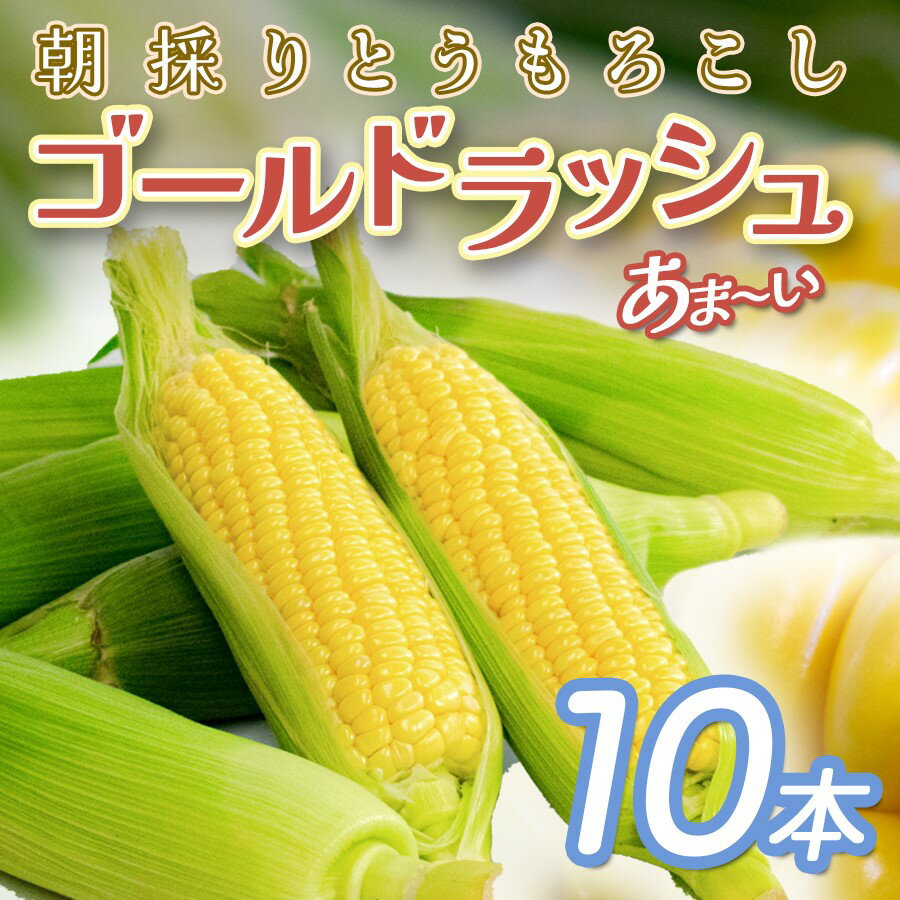 [高知県 大月町産]Kameo farmの朝採れゴールドラッシュ 10本