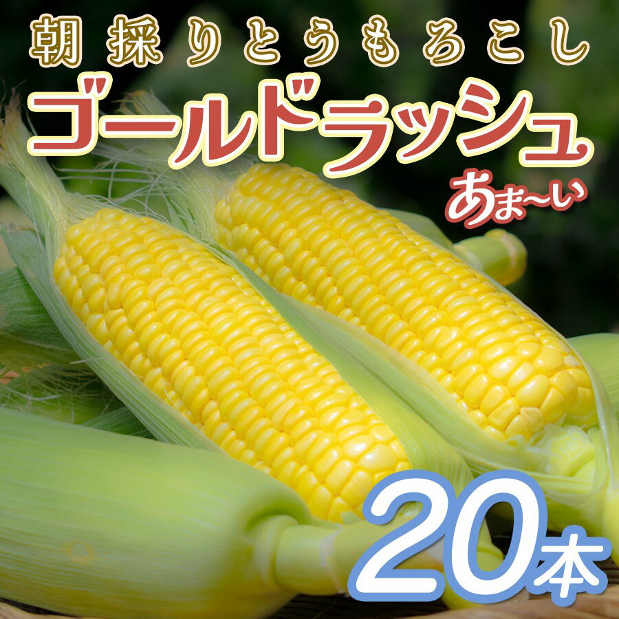 【受付期間　6月30日まで】 甘くておいしい人気の品種「ゴールドラッシュ」を20本お届けします。 収穫したその日に発送！驚くほど甘いとうもろこしをお召し上がりください。 甘くて実がぎっしり！ 生でも美味しいトウモロコシ 「ゴールドラッシュ」は、トウモロコシの品種の中でも特に甘く、粒もぎっしりつまっている品種です 。 粒皮が柔らかく歯につまりにくいのも嬉しい特徴のひとつです。 食べ方は、焼いたり茹でたりはもちろん、生で食べることもできます。 産地の大月町から直接発送するからこそできる食べ方です。 （届いてから日が経ってしまった場合は、加熱してお召し上がりください。） 実は手軽で美味しく食べられる方法があります。それはレンジでチンするだけ！ 皮を剥かずにそのままレンジ(500w～600w)で5分ほど温めてください。 それだけでとっても甘いトウモロコシの出来上がりです。 トウモロコシは時間がたつほどに甘さが減少するので、なるべくお早めにお召し上がりください。 すぐに食べることが難しい場合は、茹でてから冷凍庫で保存してください。 そうすることで、甘さを保つことができます。 【名称】とうもろこし 【産地名】高知県大月町 【内容量】ゴールドラッシュ20本 【賞味期限】 到着後、冷蔵庫で3日前後（目安）・冷凍庫で1ヶ月 ※時間が経つにつれ糖度が落ちるため、なるべく早めにお召し上がりください。 【保存方法】 ・冷蔵の場合：皮を付けたままキッチンペーパーで包み、野菜室で立てて保存してください。※時間が経つほどに甘さが減少するため、できるだけお早めにお召しあがりください。 ・冷凍の場合：硬めに茹でて、3～4cmの輪切りにするか、実だけをはずして、水気をよく拭き取り、保存容器や冷凍用保存袋に入れて冷凍庫で保存してください。 ■■■■■■■必ずお読みください■■■■■■■ ※画像はイメージです。 ※お受け取り後すぐに中身をご確認いただき、万が一返礼品に問題がある場合は、お受取日より2日以内に画像を添付していただき、大月町役場産業振興課(TEL0880-73-1115)までご連絡をお願いいたします。 ※天候や生育状況によりお届けが前後することがあります。 ※台風等の自然災害の影響や不作により返礼品が手配できない場合は、別途ご連絡させていただきます。 ※長期不在等により配送業者の再配達可能期間内にお受け取りになれなかった場合、返礼品を再送することはできません、発送期間内に3日以上不在の予定がある場合は必ず備考に記載してください。 ※転居をされた場合は必ずご連絡ください。連絡のないまま元々の住所宛てに発送した返礼品を別住所に配達する場合、受取人様に着払いでご負担いただくことになります。 (贈答用も同様)また、再送などの補償は出来ません。ご了承ください。 ※思っていた味ではないなど、寄付者様の味覚による理由についての再発送は行っておりません。 ■■■■■■■■■■■■■■■■■■■■■■■■ ☆☆大月町ふるさと納税のインスタグラムを開設しました☆☆ 生産者の情報や、レシピ投稿、新しい返礼品の紹介などの情報を発信しております。 【高知県大月町ふるさと納税】か【@furusato.otsuki_kochi】で検索お願いします。 フォロー＆いいね待ってます♪ ・ふるさと納税よくある質問はこちら ・寄付申込みのキャンセル、返礼品の変更・返品はできません。あらかじめご了承ください。「ふるさと納税」寄付金は、下記の事業を推進する資金として活用してまいります。 寄付を希望される皆さまの想いでお選びください。 (1) 皆さんの熱い思いで大月をつくる事業 (2) ふるさとへの思いに応える事業 (3) 働く人を支えるまちの発展事業 (4) 心やすらぐ自然や風景を守る事業 (5) その他、町長が必要と認める事業 特段のご希望がなければ、町政全般に活用いたします。 入金確認後、注文内容確認画面の【注文者情報】に記載の住所にお送りいたします。 発送の時期は、寄付確認後2日以内を目途に、お礼の特産品とは別にお送りいたします。