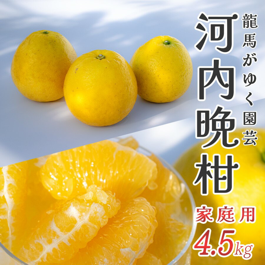 10位! 口コミ数「0件」評価「0」【高知県大月町産】龍馬がゆく園芸 家庭用 河内晩柑(4.5kg)