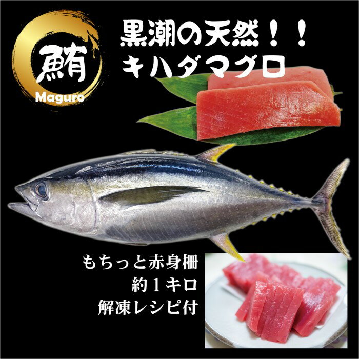 【ふるさと納税】【谷鮮魚食堂】天然キハダマグロ　赤身柵 約1kg