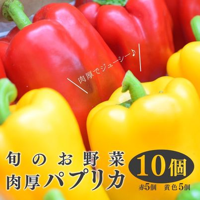 [高知県 大月町産]田村農園の肉厚パプリカ 10個