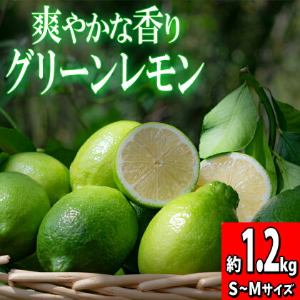 【高知県 大月町産】爽やかな香りの温室グリーンレモン　1.2kg