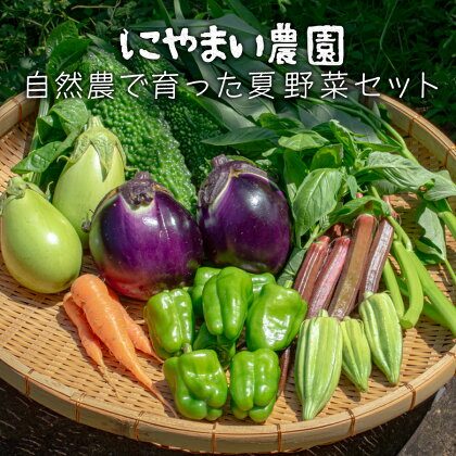 【高知県大月町産】にやまい農園　自然農で育った夏野菜セット