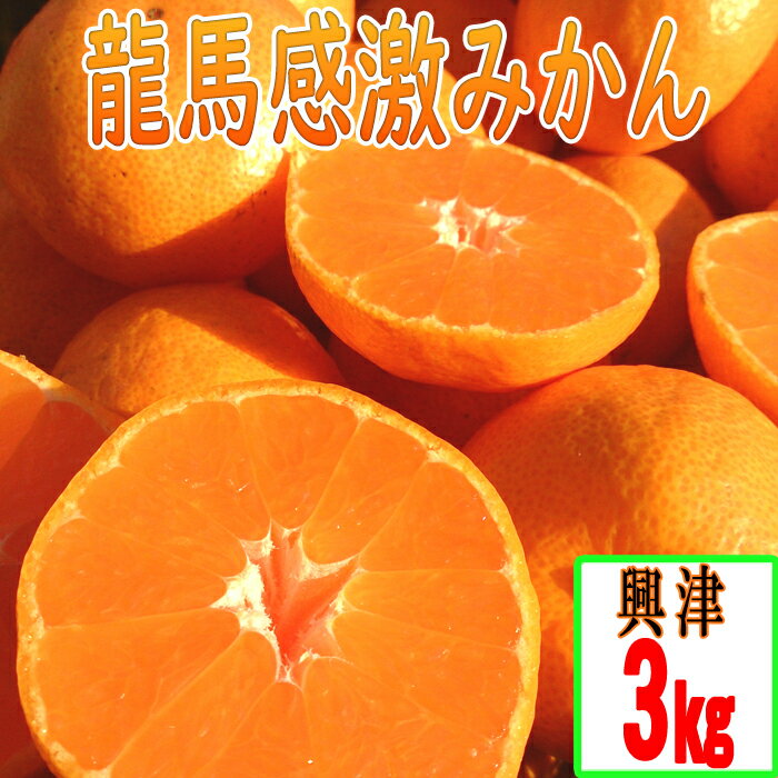 【ふるさと納税】【高知県 大月町産】コーラルフルーツ農場 龍馬感激みかん(興津)　3kg