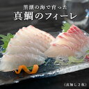 【ふるさと納税】【高知県 大月町産】 黒潮の海で育った真鯛のフィーレ(皮無し)