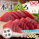 【ふるさと納税】【高知県大月町産】うみのファーム お刺身用本まぐろ 赤身 300g
