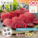 【ふるさと納税】【高知県大月町産】うみのファーム お刺身用本まぐろ 中トロ 600g