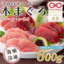 【ふるさと納税】【高知県大月町産】うみのファーム お刺身用本まぐろ赤身・中トロ・大トロ 計600g