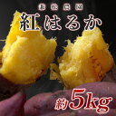 【ふるさと納税】【高知県 大月町産】兼松農園 紅はるか 5kg