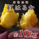 【ふるさと納税】【高知県 大月町産】兼松農園 紅はるか 10kg