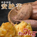 【ふるさと納税】【高知県 大月町産】兼松農園 安納芋 5kg