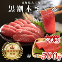 【ふるさと納税】【訳あり】本マグロ 赤身500g 不定貫 養殖マグロ 高知県産 指定日発送可能