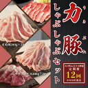 【ふるさと納税】【定期便 12回】ブランド豚 力豚しゃぶしゃぶセット