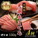 【ふるさと納税】【定期便 4回】日本一!黒潮本まぐろ 中トロ
