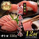 【ふるさと納税】【定期便 12回】日本一!黒潮本まぐろ 中トロ