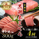 【ふるさと納税】【定期便 4回】日本一!黒潮本まぐろ 中トロ2柵