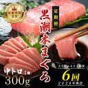 【ふるさと納税】【定期便 6回】日本一!黒潮本まぐろ 中トロ2柵