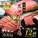 【ふるさと納税】【定期便 12回】日本一!黒潮本まぐろ 中トロ2柵