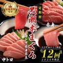 【ふるさと納税】【定期便 12回】日本一!黒潮本まぐろ 中トロ・赤身(交互)