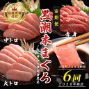 【ふるさと納税】【定期便 6回】日本一!黒潮本まぐろ 大トロ・中トロ・赤身(交互)