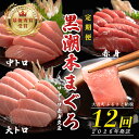 【ふるさと納税】【定期便 12回】日本一!黒潮本まぐろ 大トロ・中トロ・赤身(交互)