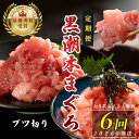 【ふるさと納税】【定期便 6回】日本一!黒潮本まぐろ ブツ切り